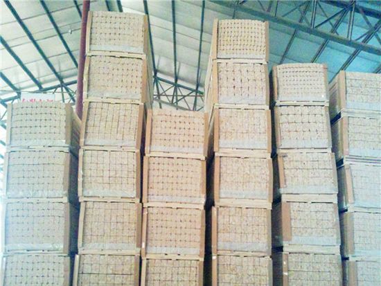 paulownia wood strip chamfer strip